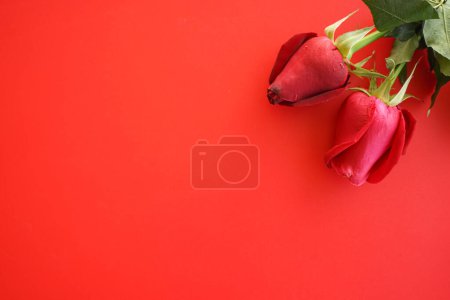 Téléchargez les photos : Roses rouges sur un fond lumineux. Saint Valentin. - en image libre de droit