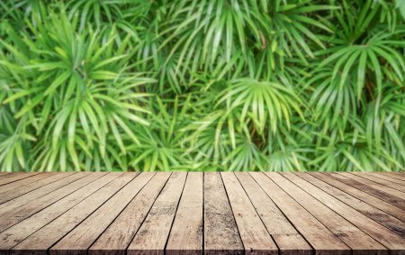 Foto de Mesa de madera vacía con fondo de hierba verde - Imagen libre de derechos