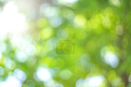 Photo for Green bokeh background with defocused lights - Royalty Free Image