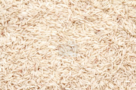 Photo for Rice background close up - Royalty Free Image