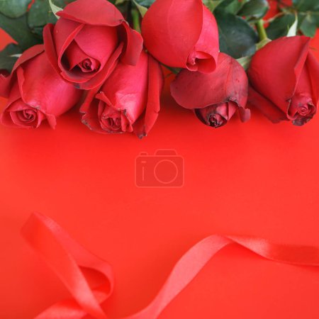 Foto de Rosa roja y rosas rojas - Imagen libre de derechos