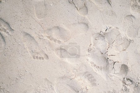 Téléchargez les photos : Empreintes de pas sur le sable - en image libre de droit