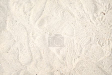 Téléchargez les photos : Texture du sable avec des traces des traces de la mer. - en image libre de droit