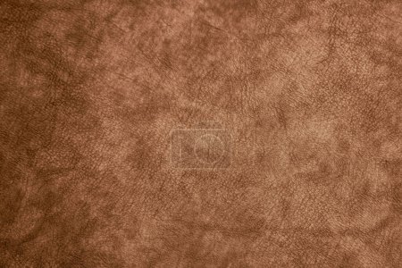Foto de Textura de cuero marrón primer plano - Imagen libre de derechos