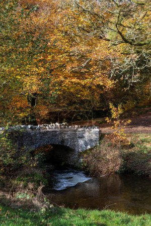 Foto de El río Weir Water fluye bajo el puente de los ladrones en el Parque Nacional Exmoor - Imagen libre de derechos
