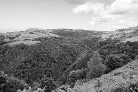Photo for Landscape photo oif Countisbury Hill and Watersmeet Valley in Exmmor National Park - Royalty Free Image