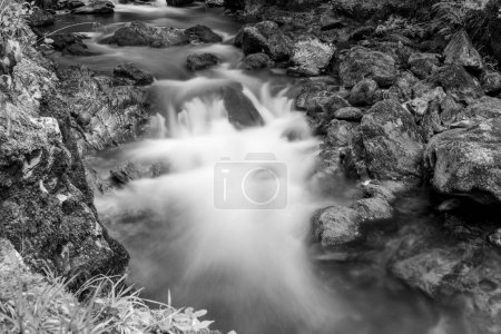 Téléchargez les photos : Longue exposition d'une cascade sur la rivière Lyn Est qui coule à travers les bois à Watersmeet dans le parc national Exmoor - en image libre de droit