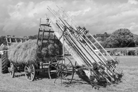 Foto de Drayton.Somerset.Reino Unido.19 de agosto de 2023.Un cargador de heno Bamford de la década de 1920 se exhibe en un evento de agricultura de ayer. - Imagen libre de derechos