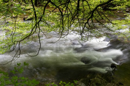 Photo for Long exposure of  the river Barle flowing through the woods at Tarr Steps in Exmoor National Park - Royalty Free Image