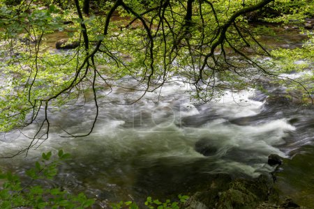 Lange Belichtung des durch den Wald fließenden Flusses Barle bei den Tarr Steps im Exmoor-Nationalpark