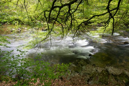Lange Belichtung des durch den Wald fließenden Flusses Barle bei den Tarr Steps im Exmoor-Nationalpark