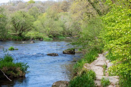 Landscape photo of the river Barle flowing through the woods at Tarr Steps in Exmoor National Park