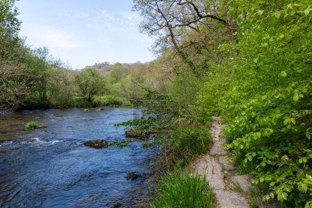 Photo de paysage de la rivière Barle qui coule à travers les bois à Tarr Steps dans le parc national Exmoor