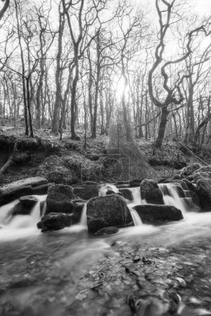 Longue exposition d'une cascade sur la rivière Hoar Oak Water à Watersmeet dans le parc national Exmoor