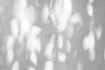 Téléchargez les photos : Faisceau lumineux, bokeh et ombre sur fond de texture de mur de béton, adapté pour faire flou pour se multiplier et superposer sur la présentation du produit. - en image libre de droit