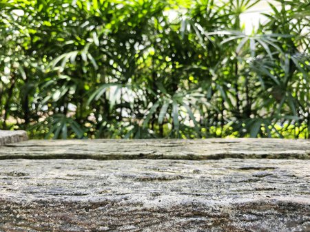 Foto de Mesa de piedra con fondo borroso del jardín, conveniente para el telón de fondo de la presentación del producto, exhibición, y se burlan. - Imagen libre de derechos