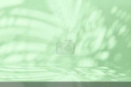 Téléchargez les photos : Table Stucco avec Ombre Palmiers sur fond de texture murale en béton vert, adaptée à la présentation de produits, à l'affichage et au maquillage. - en image libre de droit