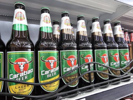 Photo for BANGKOK, THAILAND - NOVEMBER 23, 2023: Carabao Beer on Shelf. It is launched by The Carabao Group that is a major player in the beverage industry in Thailand. - Royalty Free Image