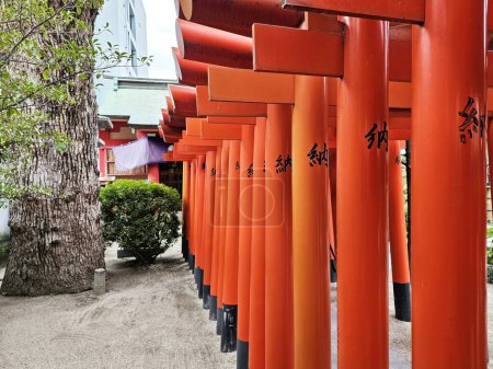 Téléchargez les photos : FUKUOKA, JAPON - 13 NOVEMBRE 2023 : Portes Torii rouges au sanctuaire Kushida Jinja où se trouve un sanctuaire shintoïste situé à Hakata-ku, Fukuoka, Japon, a été fondée en 757. - en image libre de droit