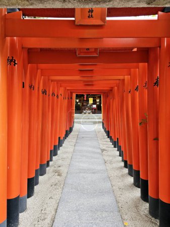 Photo for FUKUOKA, JAPAN - NOVEMBER 13, 2023: Red Torii gates at Kushida Jinja shrine where is a Shinto shrine located in Hakata-ku, Fukuoka, Japan, was founded in in 757. - Royalty Free Image