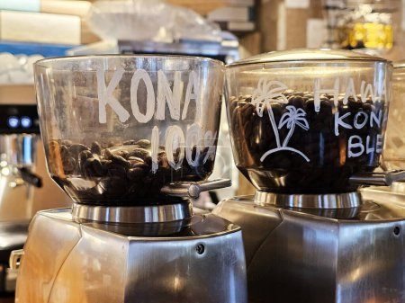 Téléchargez les photos : Grains de café Kona dans les moulins à café. - en image libre de droit