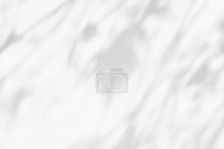Téléchargez les photos : Ombre des branches d'arbres sur fond de mur de béton blanc frais. - en image libre de droit