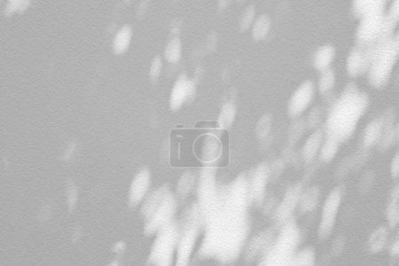Téléchargez les photos : Branches d'arbres ombre et bokeh sur fond de mur en béton blanc. - en image libre de droit