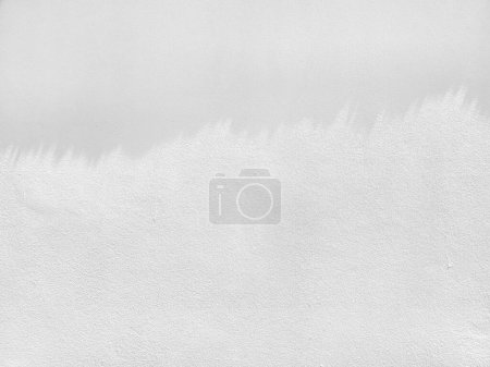 Photo for Bamboo leaves shadow on white concrete wall background. - Royalty Free Image