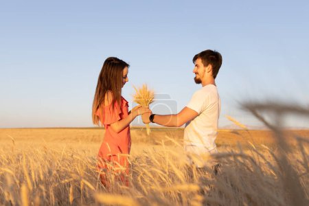 Photo for Young couple in the wheat field, The woman is grabbing bouquet of dry wheat, summer time. - Royalty Free Image