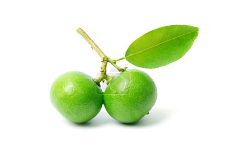 Foto de Fruta de lima fresca con hoja verde aislada sobre fondo blanco - Imagen libre de derechos