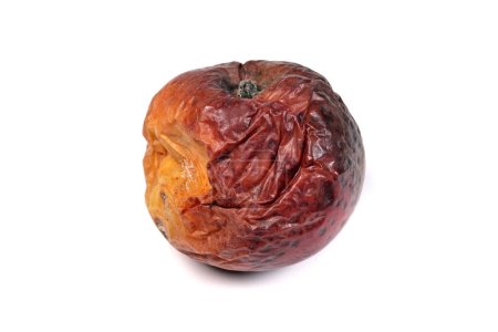 Téléchargez les photos : Pomme pourrie isolée sur fond blanc - en image libre de droit