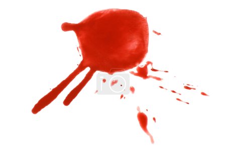 Photo for Blood splatter, drops isolated on white. Home injury concept - Royalty Free Image