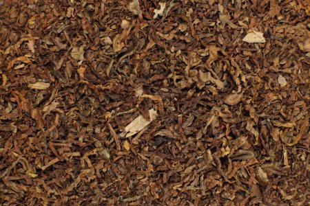 Photo for Background of crushed dry tobacco leaves - Royalty Free Image