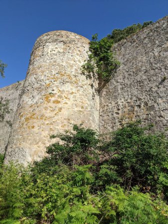 Une grande tour en pierre avec du lierre vert qui pousse dessus. La tour est entourée d'un mur et d'une forêt de plantes vertes