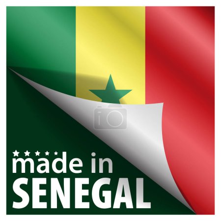 Made in Senegal graphic and label. Element of impact for the use you want to make of it.