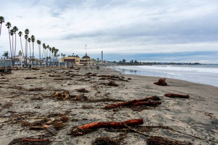 Photo for Driftwood storm debris are washed up in front of Santa Cruz Beach Boardwalk in California - Royalty Free Image