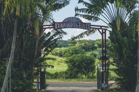 Photo for Guadeloupe, Le Moule - November 10 2022: Rhum Damoiseau distillery in Guadeloupe as one of the most important exporters of rum from Caribbeans - Royalty Free Image