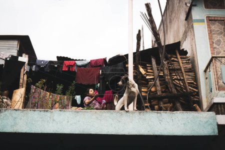 Photo for San Pedro La Laguna, Guatemala- May 21, 2023: A woman hanging laundry on ropes with her pet dog looking around - Royalty Free Image