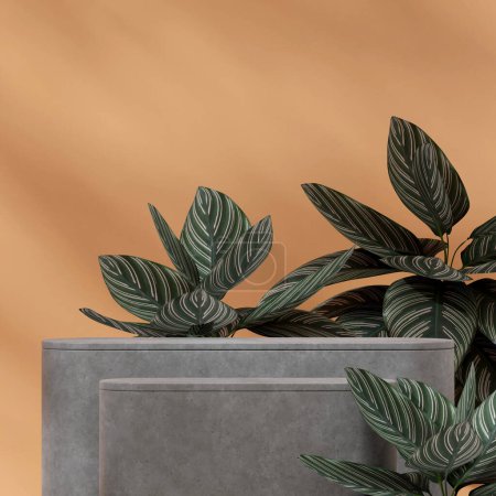 Photo for Square layout orange wall and prayer plant 3D image render mockup scene concrete texture podium - Royalty Free Image