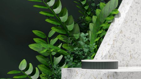 Photo for Blank space round green and white podium in landscape marble floor and zamia plant 3D render image - Royalty Free Image