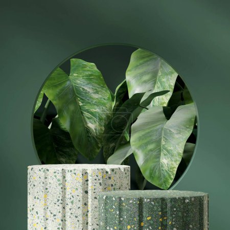 Foto de En pared verde cuadrada y planta de alocasia, haciendo 3d vacío espacio verde terrazo texturizado podio - Imagen libre de derechos