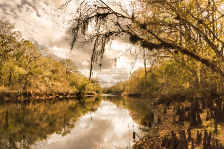 Landscape of the Spooky Reflections Along the Withlacoochee River in Florida