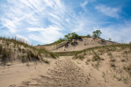 Photo for Sand dunes at Warren Dunes state Park, Michigan, USA. - Royalty Free Image