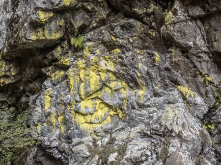 Téléchargez les photos : Parois rocheuses de la gorge Cheile Galbenului, Baia de Fier, Gorj, Roumanie - en image libre de droit