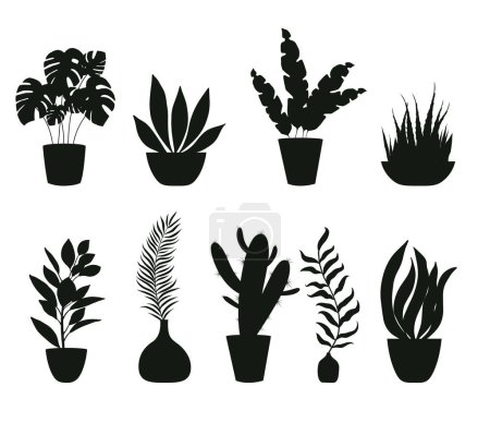 Téléchargez les illustrations : Accueil Plantes dans des pots de fleurs et des vases silhouettes noires. Illustration vectorielle - en licence libre de droit