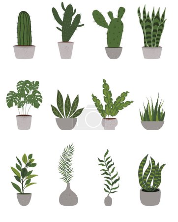 Téléchargez les illustrations : Accueil Plantes en pots de fleurs et vases isolés sur blanc. Illustration vectorielle - en licence libre de droit