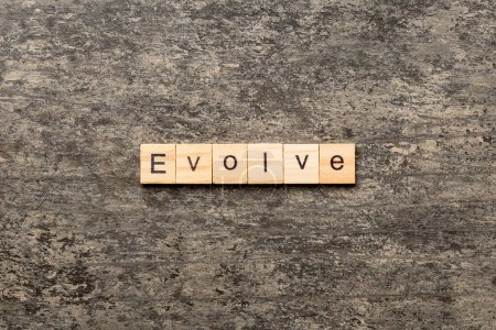Foto de EVOLUCIÓN palabra escrita en bloque de madera. EVOLVE texto en la mesa de cemento para su diseño, concepto. - Imagen libre de derechos