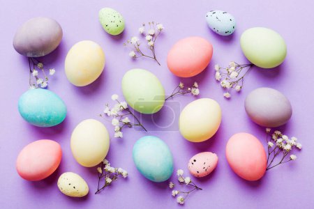 Photo for Happy Easter composition. Easter eggs on colored table with gypsophila. Natural dyed colorful eggs background top view with copy space. - Royalty Free Image