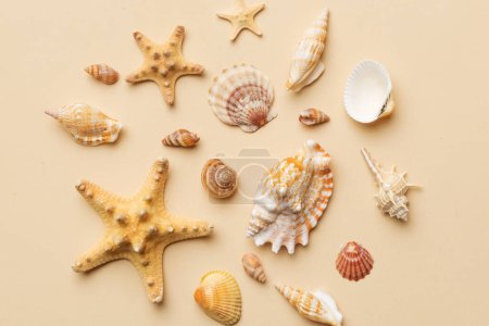 Photo for Summer time concept Flat lay composition with beautiful starfish and sea shells on colored table, top view. - Royalty Free Image