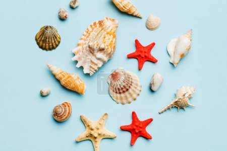 Concepto de hora de verano Composición plana con hermosas estrellas de mar y conchas de mar en la mesa de colores, vista superior.